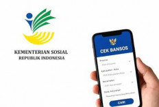 Cara Cek Bansos Kemensos Juni 2026 Secara Online, Lengkap dengan Besaran dan Jadwalnya
