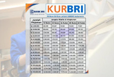 Tabel Angsuran KUR BRI 2025, Berikut  Rincian Pinjaman Cicilan Mulai 1 Juta dengan Plafon Hingga Rp100 Juta