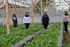 Perempuan Nasabah PNM Mekaar di Bandung Barat Kembangkan Usaha lewat Sinergi Ultra Mikro BRI