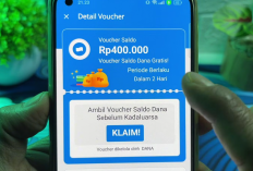 Saldo DANA Gratis Edisi THR Langsung Cair Sebesar Rp400.000 dari Aplikasi DANA, Begini Cara Klaimnya!