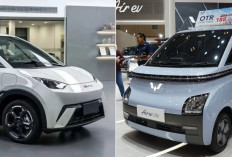 Bandingkan Harga dan Jarak Tempuh BYD Atto 1 dan Wuling Air EV Bekas, Mana Lebih Hemat & Nyaman?