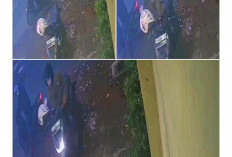 Curanmor Terekam CCTV di Plumbon Cirebon, Honda Beat Milik Karyawati Pet Shop Raib
