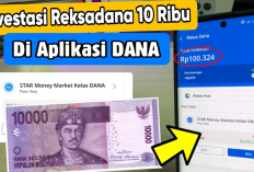 Ada untuk Pasar Uang atau Obligasi, Cara Investasi Reksadana di Aplikasi DANA Terbaru untuk Pemula Tahun 2026