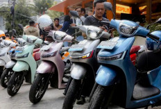 Dari QT hingga Tyranno, Motor Listrik Indomobil Hadir untuk Komuter hingga Adventure, Mulai Rp15 Jutaan