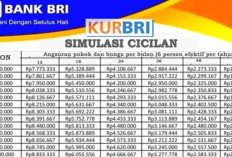 Rincian Pinjaman KUR BRI Tahun 2025 Lengkap dengan Angsuran dan Tabel Simulasinya, Berikut Plafon Pinjamannyaa