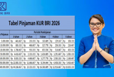 Tabel Angsuran KUR BRI 2026 Terbaru: Simulasi Cicilan hingga Rp500 Juta, Cek Rinciannya di Sini!