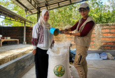 Terra Corn Majalengka Kirim Perdana 2 Ton Tepung Jagung ke Cirebon, Kontrak Capai 10 Ton per Pekan