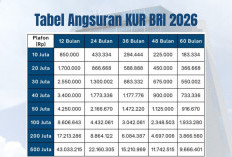 Tabel Angsuran KUR BRI 2026 Pinjaman Rp50 Juta, Cicilan Ringan Mulai Rp1 Jutaan!