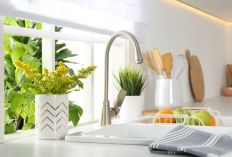 Bikin Dapur dan Ruang Tamu Makin Segar dan Estetik, 7 Macam Tanaman Hias Pembawa Rezeki Menurut Feng Shui