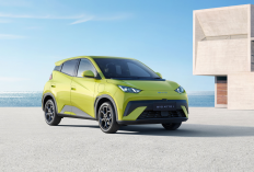 Termasuk BYD Atto 1 Dynamic, Berikut 3 Daftar Mobil Listrik Murah di Bawah 200 Juta di Tahun 2026