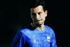 Thom Haye Dapat Ancaman Pembunuhan dan Teror Usai Laga Derbi Persib Bandung VS Persija Jakarta