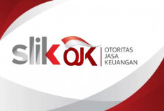 Ternyata Gak Ribet! Begini Cara Membersihkan Nama di SLIK OJK agar Pinjaman Mudah Disetujui