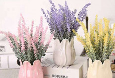 Jadi Pewangi Alami di Dalam Ruangan, Berikut 6 Tanaman Hias Indoor Beraroma Wangi di Rumah