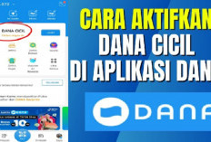 Cara Mengaktifkan DANA Cicil di DANA 2026, Ini Syarat dan Langkah Mudahnya Gak Pake Ribet!