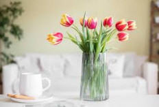 Rahasia Dekorasi Indoor Gak Monoton! Ini 6 Tanaman Hias Hidroponik yang Estetik & Minimalis di Dalam Ruangan