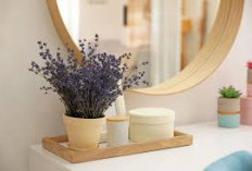 Tidur Lebih Nyenyak! Ini 7 Tanaman Hias untuk Kamar Tidur dengan Tampilan Estetik & Aroma Menenangkan