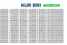 Tenor Maksimal KUR BRI 100 Juta Berapa? Cicilan Terendahnya Gak Sampe 2 Jutaan