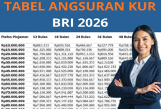 Pinjam Rp20 Juta Lewat KUR BRI 2026, Cicilan Ringan Mulai Ratusan Ribu Per Bulan!