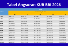 Tabel Angsuran KUR BRI Mei 2026 Terbaru, Pinjaman Rp100 Juta dengan Bunga 6% per Tahun!