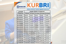 Ini Tips Pinjaman Rp100 Juta KUR BRI Agar Langsung ACC, Simak Tabel Angsuran Lengkapnya!