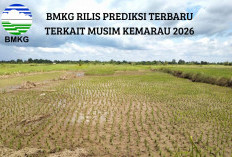 Kapan Mulai Musim Kemarau 2026? Ini Jawaban BMKG Tentang Jadwal, Wilayah Terdampak, dan Ancaman El Nino