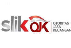 Cara Bersihkan SLIK OJK dengan Cepat dan Mudah, Ini Langkah yang Harus Dilakukan!