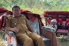 Presiden Prabowo Beri 300 Becak Listrik untuk Pengayuh Lansia di Majalengka