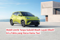Harga Mulai Rp150 Jutaan, Mobil Listrik Tanpa Subsidi Masih Layak Dibeli? Ini 4 Fakta yang Harus Kamu Tau!