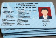 Bisa Pakai Hp, Begini Cara Cek Penerima BSU Pakai NIK KTP yang Mudah dan Cepat