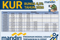 Pinjaman 10 - 500 Juta dengan Bunga Tahunan 6,5 Persen Buat Modal UMKM Naik Kelas, Tabel KUR Mandiri 2026