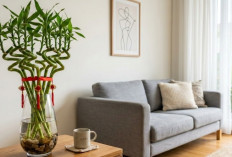 Usir Aura & Energi Negatif, 5 Tanaman Hias Penangkal Sial dan Nasib Buruk Paling Efektif Menurut Feng Shui