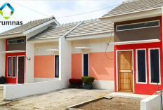 Bisa Punya Rumah Pribadi di 2026! Simak Panduan Lengkap Cara Daftar Rumah Subsidi dari Perumnas Berikut Ini!