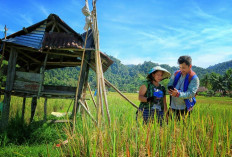81 Tahun Indonesia Merdeka, Danantara dan BRI Menjangkau Pelosok Negeri dari Perbatasan Terdepan hingga Pulau 
