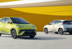Harga BYD Atto 1 Premium ADAS Lengkap Jok Elektrik Baterai Besar Jarak 380 Km Fitur Modern Perkotaan