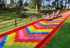 7 Wisata Kuningan yang Wajib Dikunjungi Saat Libur Lebaran, Ada Wisata Alam, Waterboom hingga Kuliner