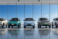 Gak Terdampak Harga Bensin Naik, Ini 10 Daftar Mobil Listrik Terbaru 2026, dari Wulling, BYD, Vinfast, Hyundai