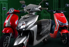 5 Tipe Motor Listrik Volta yang Layak Beli di 2026, Mulai dari Seri Mandala Hingga Patriot X, Segini Harganya