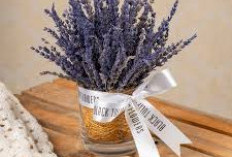 Bisa Jadi Pengharum Ruangan Alami! Ini 5 Tanaman Hias Indoor yang Memiliki Aroma Semerbak untuk Dekorasi Inter