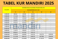 Modal Usaha Rp100 Juta, KUR Mandiri 2025 Tawarkan Cicilan Ringan & Bunga Rendah!