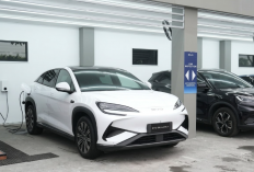 Mudik Pakai Mobil Listrik BYD Makin Nyaman, Bisa Tembus 300 Km dan BYD Sediakan 6 Posko Sepanjang Tol Jawa