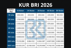 Simulasi Lengkap! Tabel Angsuran KUR BRI 2026 Terbaru, Cicilan Ringan & Bunga Rendah