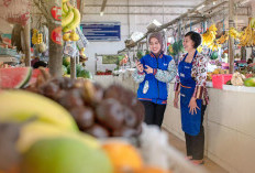 BRI Salurkan KUR Rp178,08 Triliun Sepanjang Tahun 2025, Lebih dari 60 Persen Mengalir ke Sektor Produktif