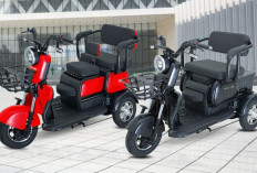 Harga Termurah Rp15 Jutaan, Motor Listrik Roda Tiga Ini Punya Fungsi Lebih Bisa untuk Harian dan Usaha