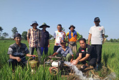 Petani Majalengka Hemat 87,5 Persen Biaya Pompa Air dengan LPG 3 Kg di Musim Kemarau