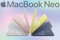 MacBook Neo Terbaru: Benarkah Jadi MacBook Termurah Apple dengan Spesifikasi Premium?
