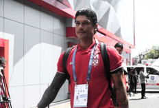 Ciro Alves Eks Persib Bandung Siap Jadi WNI , Peluang Main di Timnas Indonesia Kini Jadi Sorotan