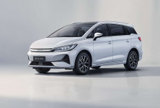 BYD M6 Tahun 2026, Rekomendasi Mobil Listrik 7 Seater untuk Keluarga Cemara! Dibungkus Fitur Modern