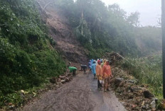 Hujan Intensitas Tinggi, Terjadi Longsor di Desa Argamukti Majalengka