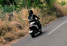 Gak Cuma Kuat di Dalam Kota tapi Bisa Diajak Nanjak, Berikut 5 Motor Listrik yang Kuat Tanjakan Bukit