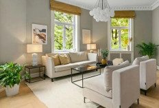 8 Tanaman Hias Compact untuk Sudut Rumah, Mudah Dirawat, Cantik, Menyegarkan dan Membawa Keberuntungan